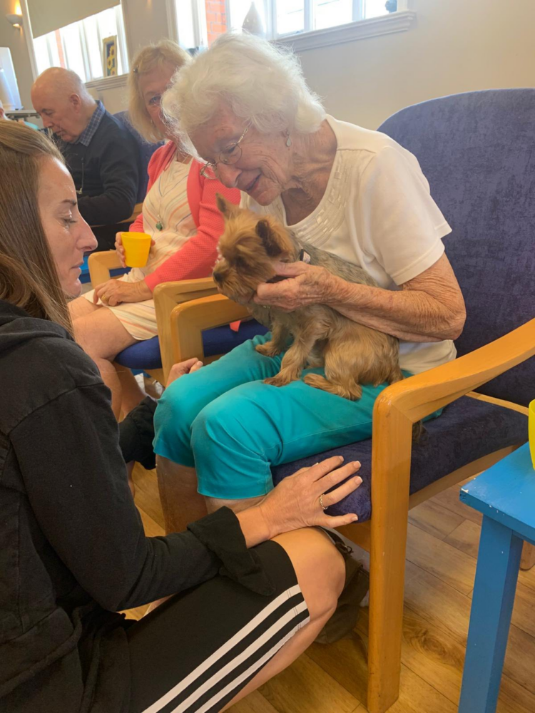 Photo - CAMEO Day Centres