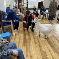 Photo - CAMEO Day Centres