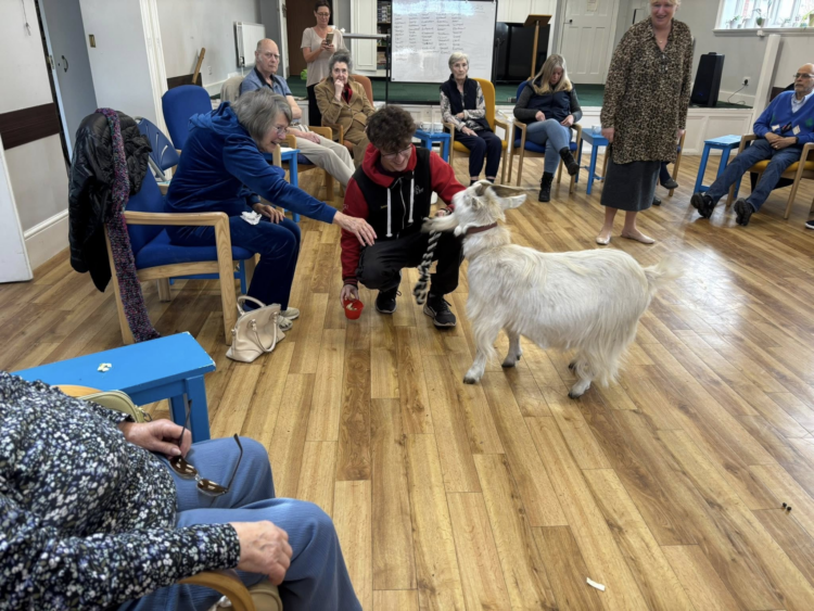 Photo - CAMEO Day Centres