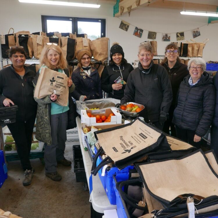 Sutton Community Farm