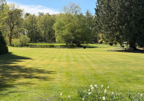 Lawn Tiger sample work
