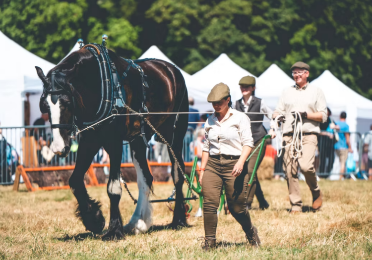 Quintessentially British Events