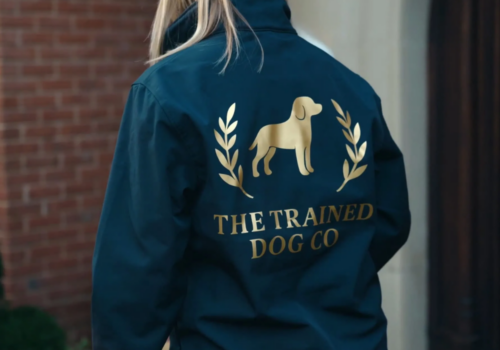 The Trained Dog Company