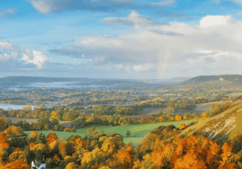Surrey Hills Community Forum