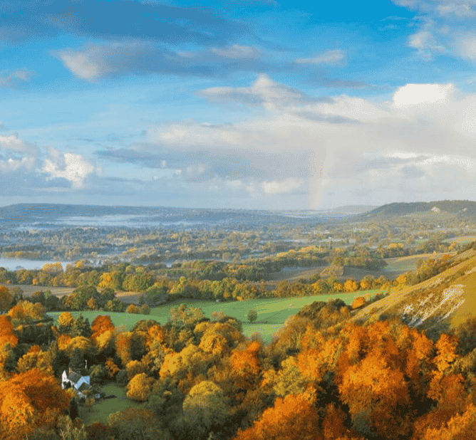 Surrey Hills Community Forum