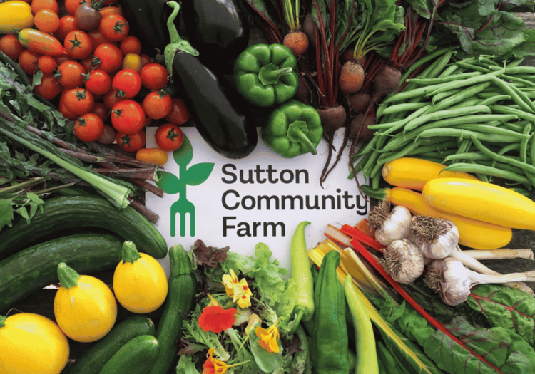 Sutton Community Farm