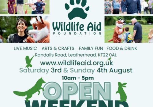 Wildlife Aid Open Weekend