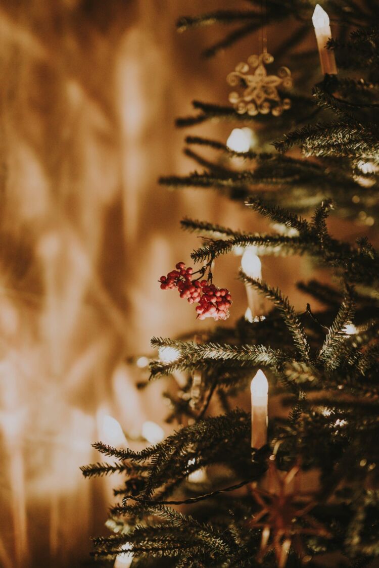 Combatting Loneliness this Christmas